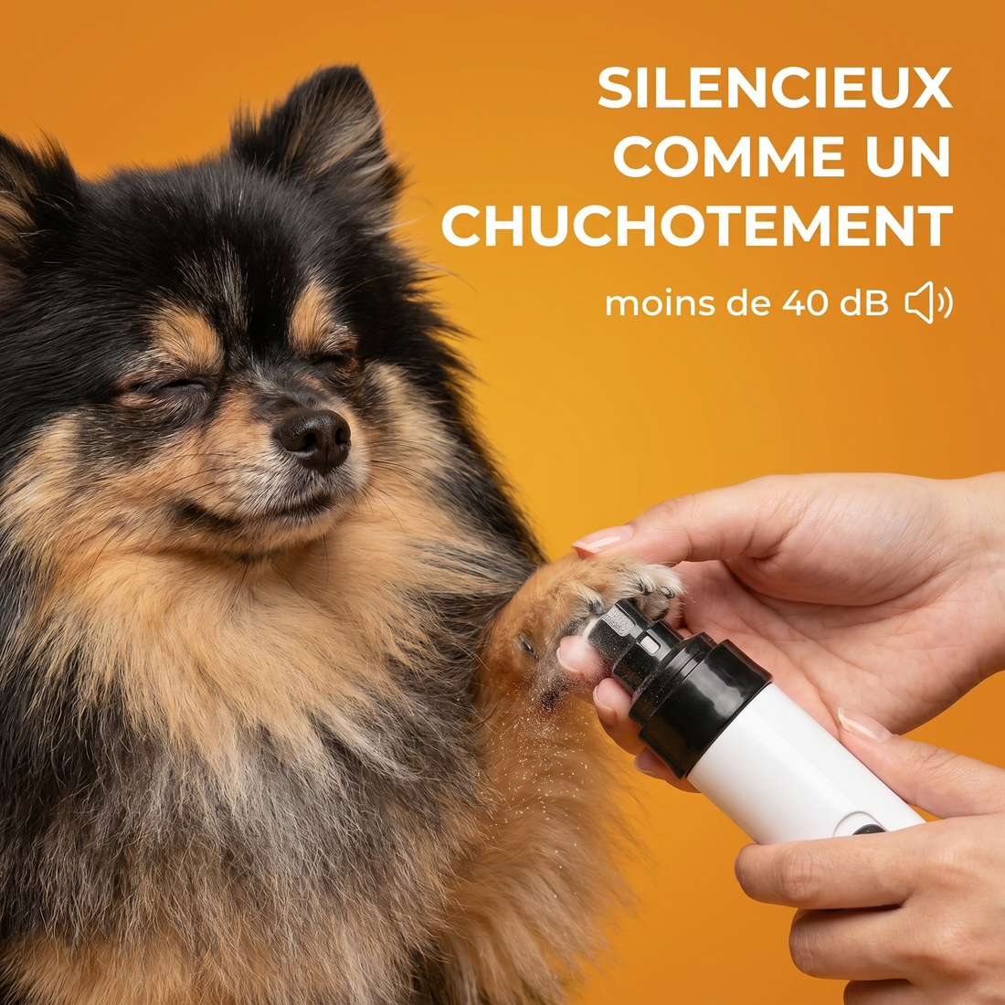 Silence Pro