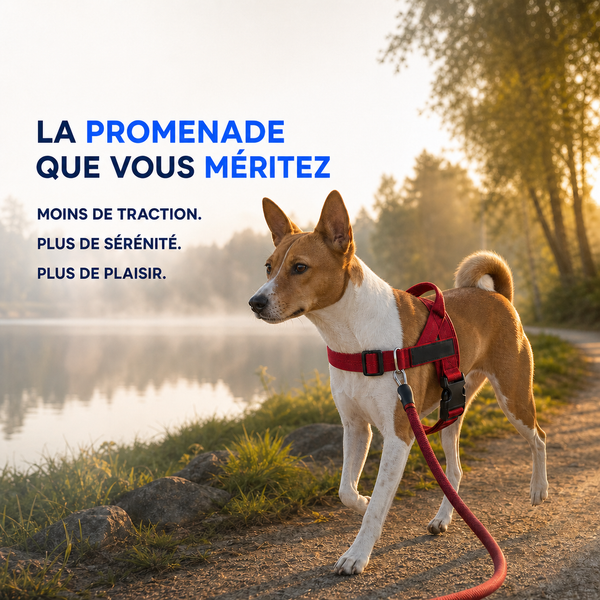 Une promenade enfin detendue