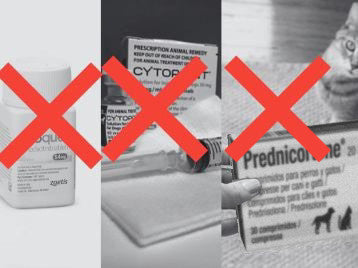 Apoquel, Cytopoint e cortisone barrati con una croce rossa