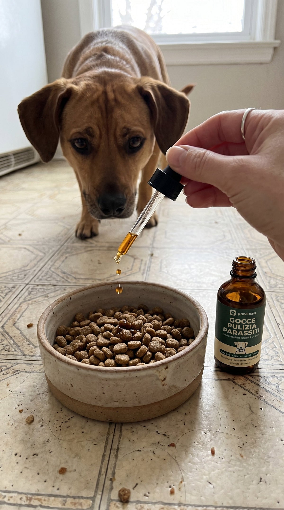 Le gocce pawlusso aggiunte alla pappa del cane