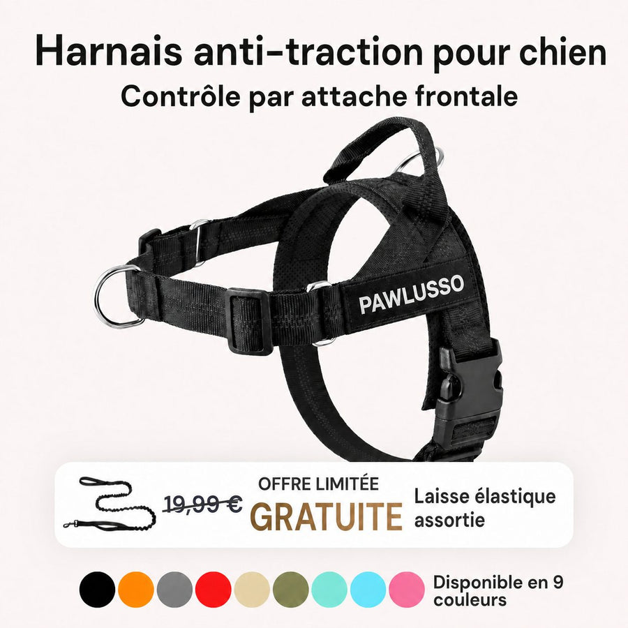 Harnais anti-traction Pawlusso