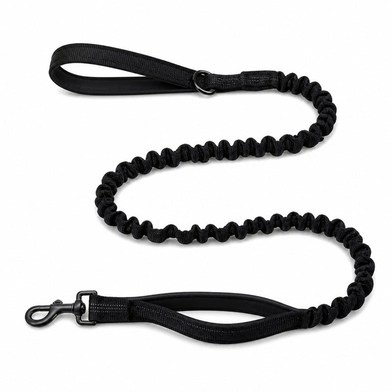 Laisse élastique assortie Pawlusso — Noir
