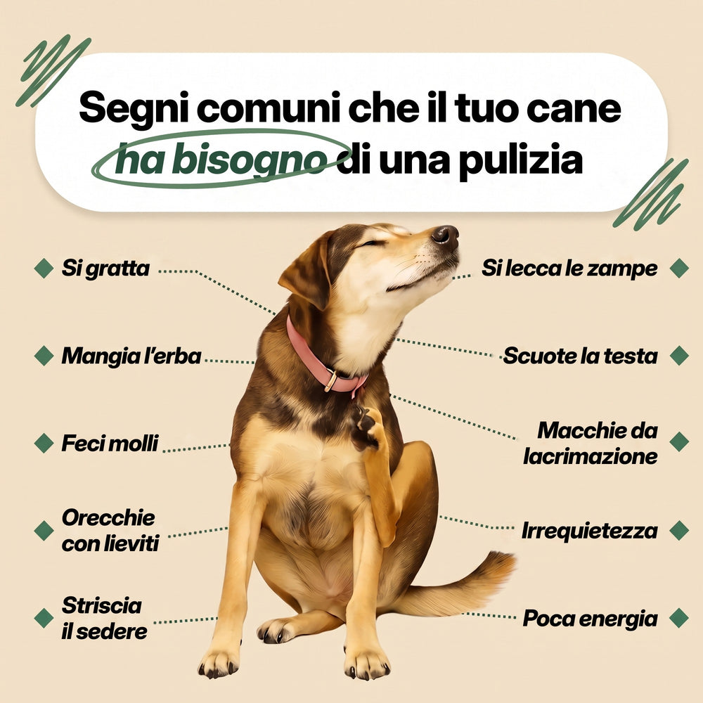 pawlusso™ - Gocce per la pulizia dai parassiti