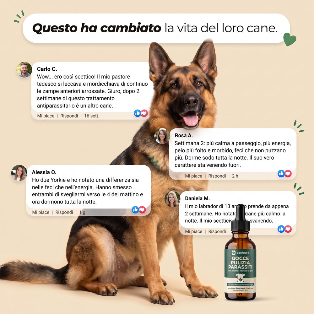 pawlusso™ - Gocce per la pulizia dai parassiti