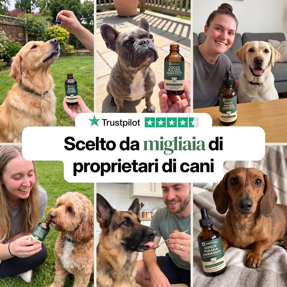 pawlusso™ - Gocce per la pulizia dai parassiti