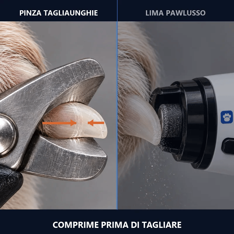 A sinistra la tronchesina che stringe l&rsquo;unghia dai due lati, a destra la lima che la consuma.
