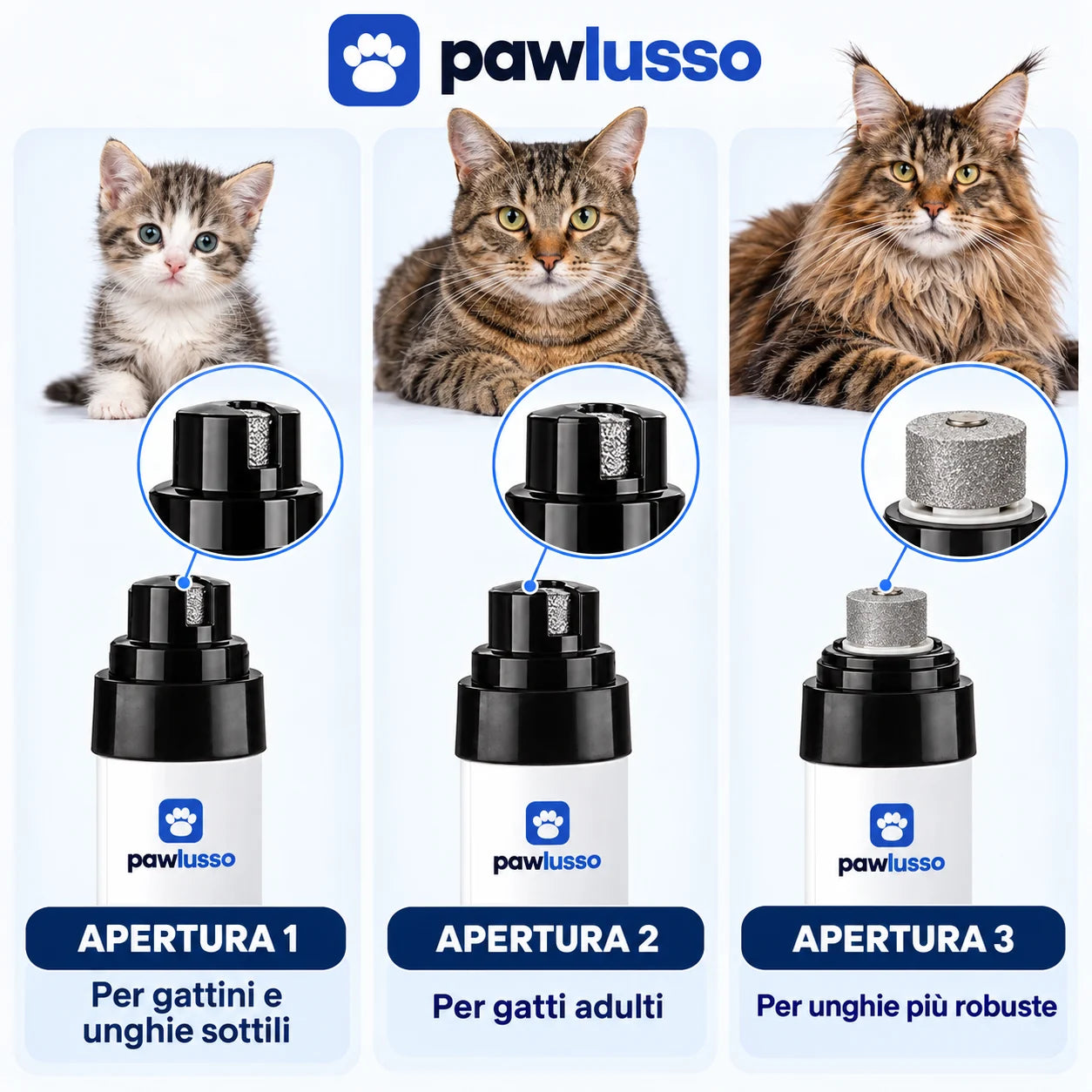 Tre aperture di levigatura, dal gattino al Maine Coon