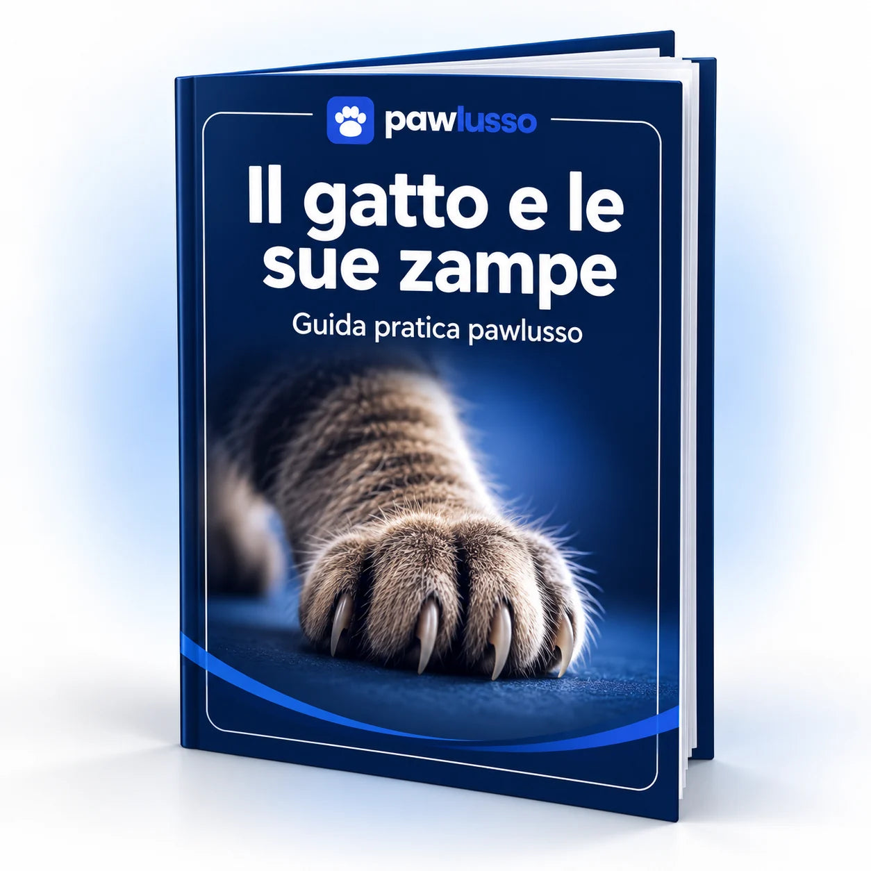 Guida Il gatto e le sue zampe